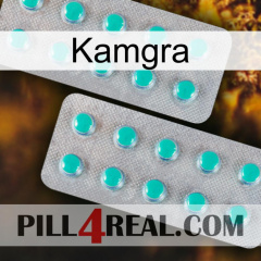 Kamgra 29